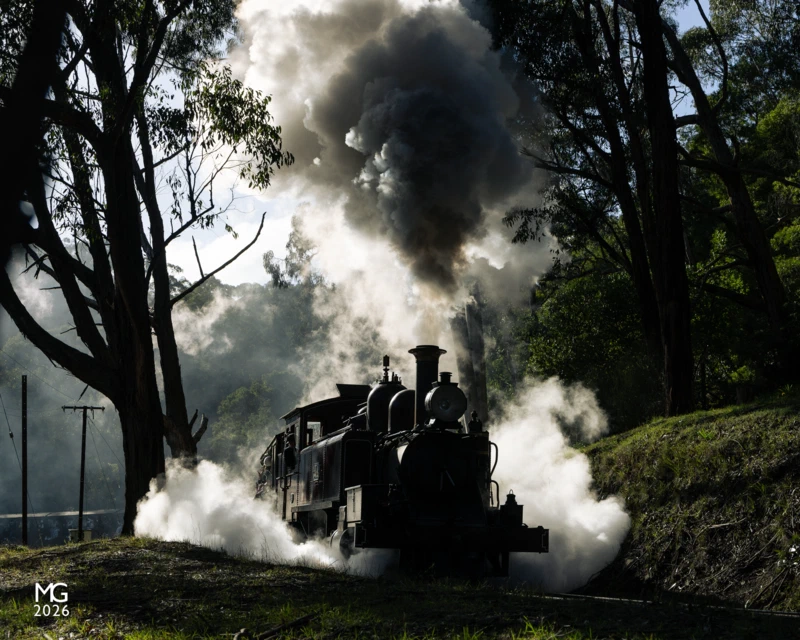 Contre-jour Smoke, steam, and soot is sent forth from 12A as it navigates through the curves of Selby with a very full train for Lakeside.
