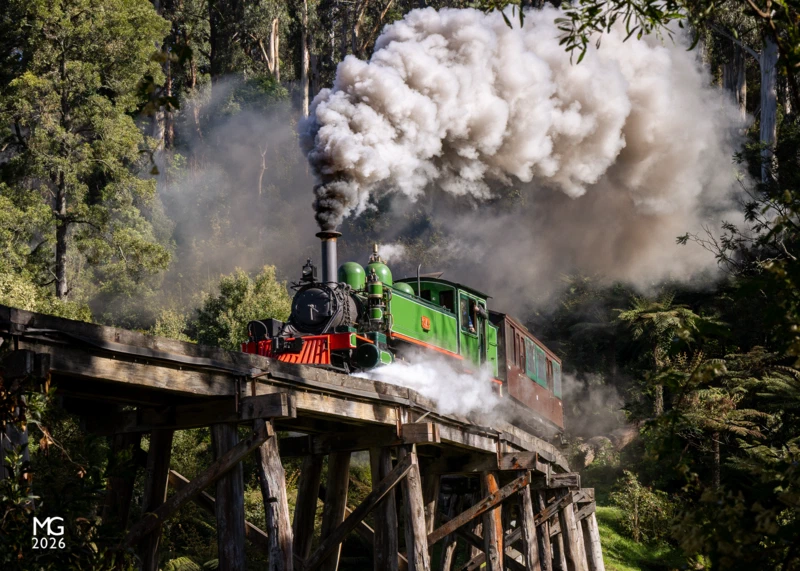Green on green On an early morning run from Belgrave prior to its return to traffic after a protracted overhaul, 6A shoots across the Monbulk Creek trestle bridge in perfect spring sunlight.