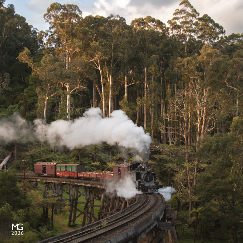 Evening Mixed With the last gasp of daylight sparking across the mountain gray gums above Monbulk Creek, 8A makes light work of its small mixed goods train bound for Gembrook.