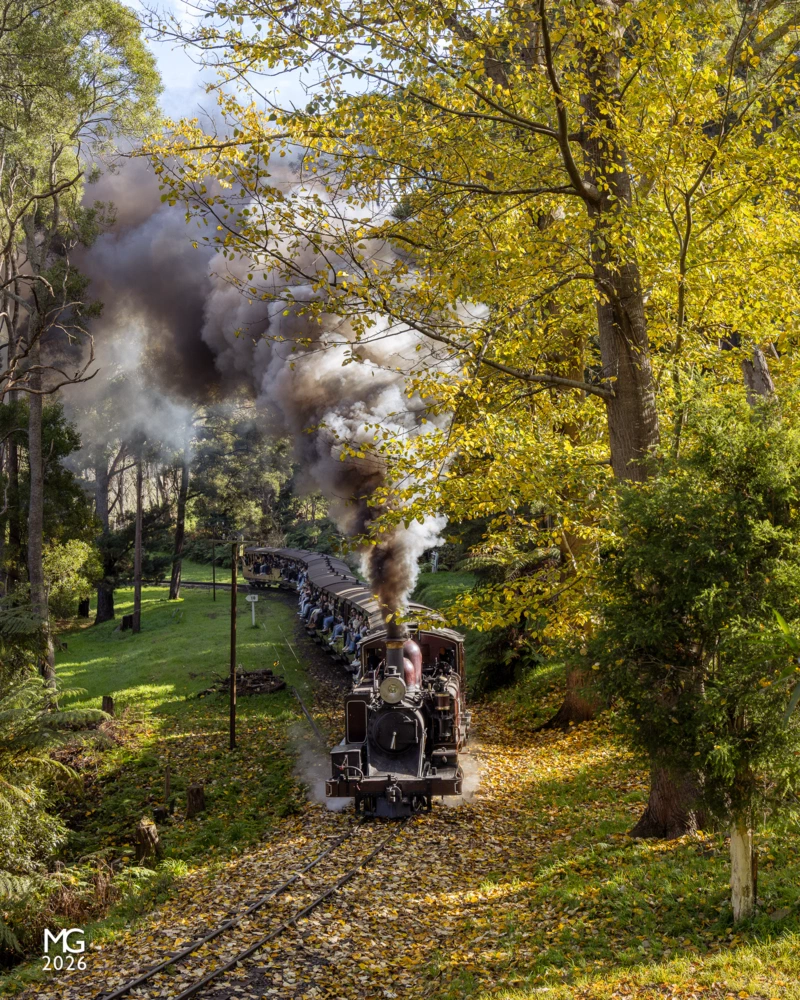 Autumn at Landslide Surrounded by the warm tones of Autumn, 12A navigates the curves around Landslide with a very full train from Belgrave to Lakeside.