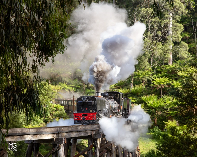 One bright morning On its second test run from Belgrave, NG/G16 129 erupts over the Monbulk Creek trestle bridge early one November morning, bound for Gembrook. Unfortunately, the test run was cancelled at Menzies Creek with a fault in the ashpan.The workshops team have a blog full of posts detailing the rebuild of this iconic South African steam locomotive that's well worth a read - https://puffingbilly.com.au/news/workshop-blog/
