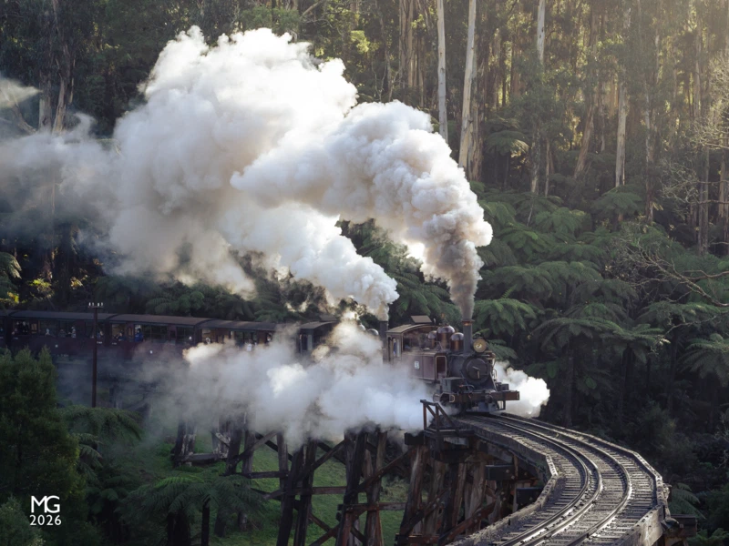 Crossing the gap The early Spring sun hasn't quite made it over the treetops above a cold and frigid Selby as 12A leads 8A across the Monbulk Creek trestle bridge in August 2021. Just four days later a snap lockdown was announced for Victoria, shutting the railway down for another three months.